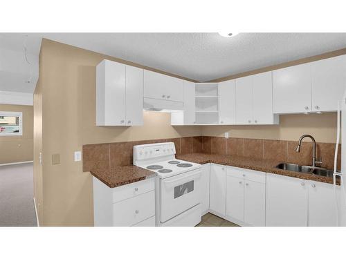 40 Saddlefield Road Ne, Calgary, AB - Indoor Photo Showing Kitchen With Double Sink