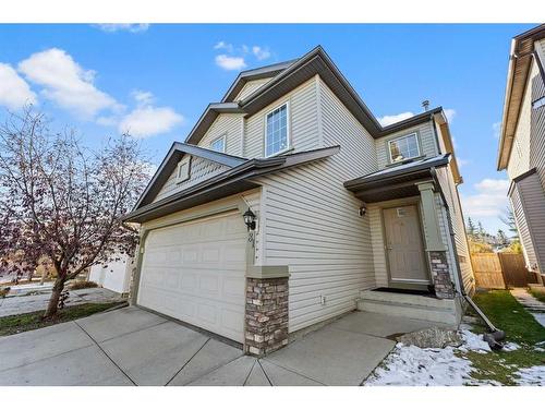 81 Covebrook Close Ne, Calgary, AB - Outdoor