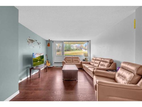 451-1620 8 Avenue Nw, Calgary, AB - Indoor Photo Showing Living Room