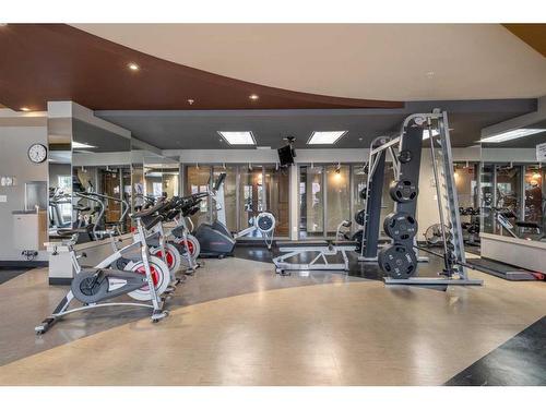 6310-11811 Lake Fraser Drive Se, Calgary, AB - Indoor Photo Showing Gym Room