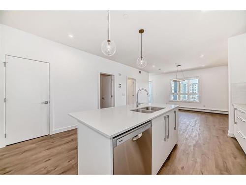 1304-60 Skyview Ranch Road Ne, Calgary, AB - Indoor Photo Showing Kitchen With Double Sink