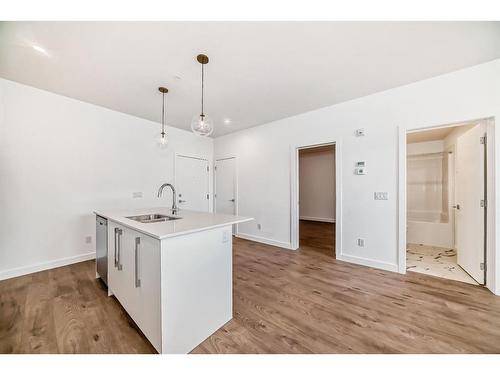 1304-60 Skyview Ranch Road Ne, Calgary, AB - Indoor Photo Showing Kitchen With Double Sink