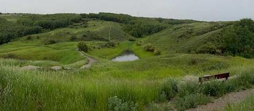 88 Macewan Glen Drive Nw, Calgary, AB - Outdoor With View