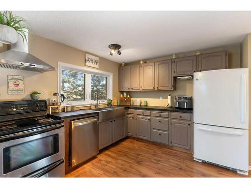 302 Royal Avenue Nw, Diamond Valley, AB - Indoor Photo Showing Kitchen