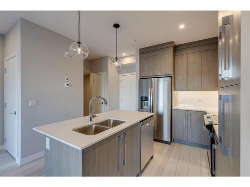 1120-395 Skyview Parkway Ne, Calgary, AB - Indoor Photo Showing Kitchen With Double Sink With Upgraded Kitchen