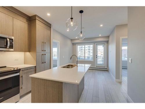 1120-395 Skyview Parkway Ne, Calgary, AB - Indoor Photo Showing Kitchen With Double Sink With Upgraded Kitchen