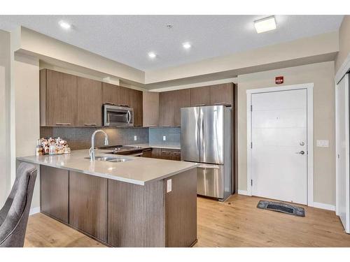 309-214 Sherwood Square Nw, Calgary, AB - Indoor Photo Showing Kitchen With Stainless Steel Kitchen With Double Sink