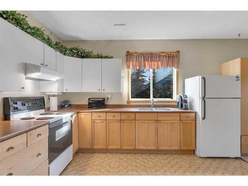 652 East Chestermere Drive, Chestermere, AB - Indoor Photo Showing Kitchen With Double Sink