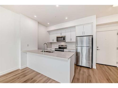 2216-151 Skyview Bay Ne, Calgary, AB - Indoor Photo Showing Kitchen With Double Sink