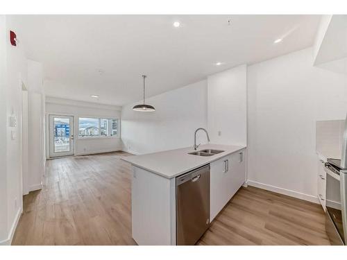 2216-151 Skyview Bay Ne, Calgary, AB - Indoor Photo Showing Kitchen With Double Sink