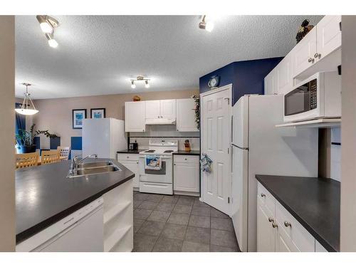 15 Saddletree Drive Ne, Calgary, AB - Indoor Photo Showing Kitchen With Double Sink