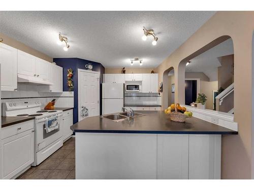 15 Saddletree Drive Ne, Calgary, AB - Indoor Photo Showing Kitchen With Double Sink