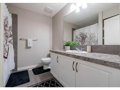 325 Skyview Springs Gardens Ne, Calgary, AB - Indoor Photo Showing Bathroom