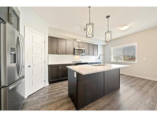 610-32 Red Embers Parade Ne, Calgary, AB - Indoor Photo Showing Kitchen With Stainless Steel Kitchen With Upgraded Kitchen