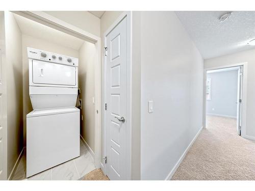 610-32 Red Embers Parade Ne, Calgary, AB - Indoor Photo Showing Laundry Room