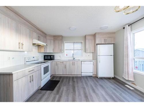 228 Martinvalley Crescent Ne, Calgary, AB - Indoor Photo Showing Kitchen