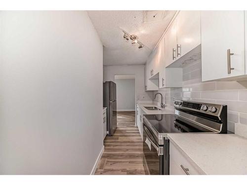 67-2727 Rundleson Road Ne, Calgary, AB - Indoor Photo Showing Kitchen With Double Sink