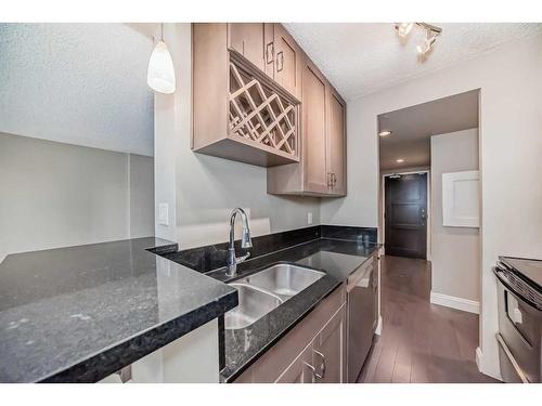 306-733 14 Avenue, Calgary, AB - Indoor Photo Showing Kitchen With Double Sink