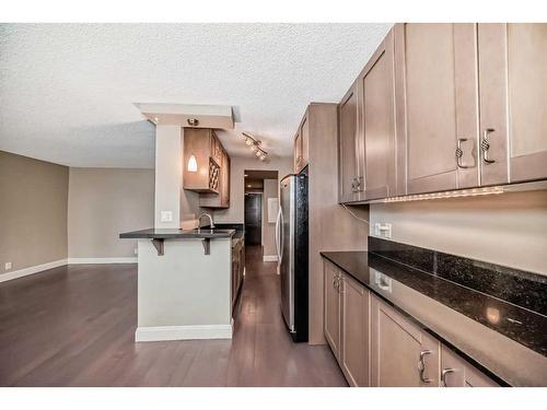 306-733 14 Avenue, Calgary, AB - Indoor Photo Showing Kitchen