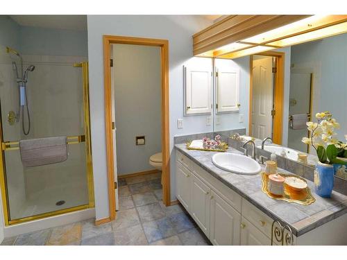 116 Hamptons Park Nw, Calgary, AB - Indoor Photo Showing Bathroom