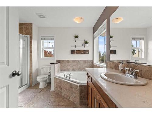 310 Autumn Circle Se, Calgary, AB - Indoor Photo Showing Bathroom