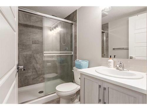 65 Skyview Parade Ne, Calgary, AB - Indoor Photo Showing Bathroom