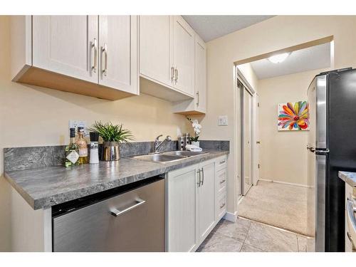 14-3519 49 Street Nw, Calgary, AB - Indoor Photo Showing Kitchen With Double Sink