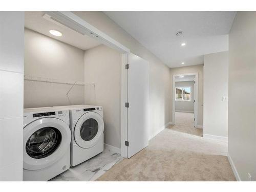 239 Homestead Drive Ne, Calgary, AB - Indoor Photo Showing Laundry Room