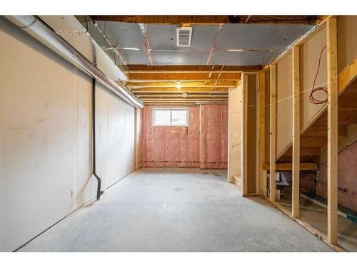 239 Homestead Drive Ne, Calgary, AB - Indoor Photo Showing Basement