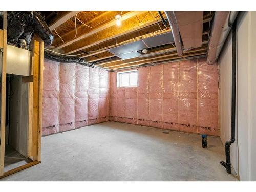 239 Homestead Drive Ne, Calgary, AB - Indoor Photo Showing Basement