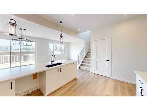 54 Savoy Landing Se, Calgary, AB - Indoor Photo Showing Kitchen With Double Sink