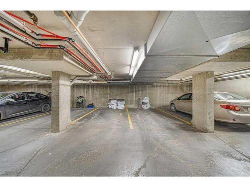 1304-8810 Royal Birch Boulevard Nw, Calgary, AB - Indoor Photo Showing Garage