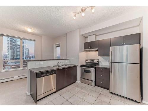 515-1053 10 Street Sw, Calgary, AB - Indoor Photo Showing Kitchen With Double Sink