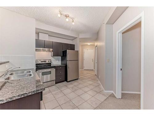 515-1053 10 Street Sw, Calgary, AB - Indoor Photo Showing Kitchen With Double Sink