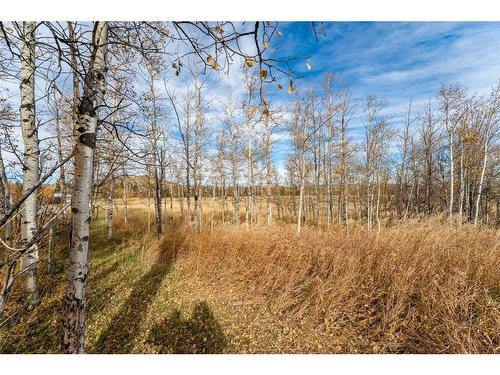 340 16Th Avenue Sw, Diamond Valley, AB 