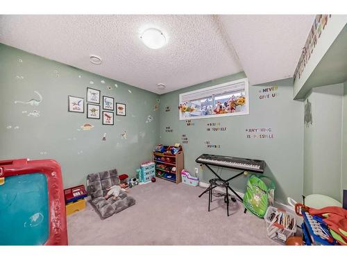 79 Auburn Meadows Gardens Se, Calgary, AB - Indoor Photo Showing Basement