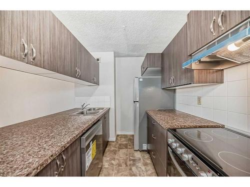 1204-221 6 Avenue Se, Calgary, AB - Indoor Photo Showing Kitchen With Double Sink