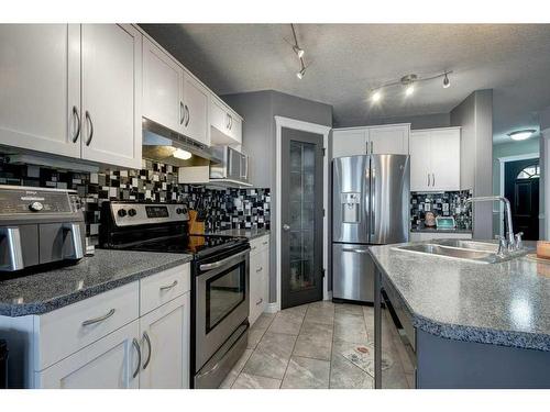 97 Cramond Close Se, Calgary, AB - Indoor Photo Showing Kitchen With Stainless Steel Kitchen With Double Sink With Upgraded Kitchen