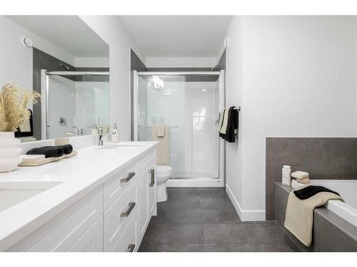 212 Sora Terrace Se, Calgary, AB - Indoor Photo Showing Bathroom