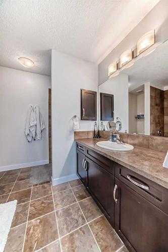 213 Rainbow Falls Drive, Chestermere, AB - Indoor Photo Showing Bathroom