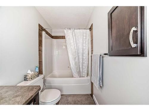 213 Rainbow Falls Drive, Chestermere, AB - Indoor Photo Showing Bathroom