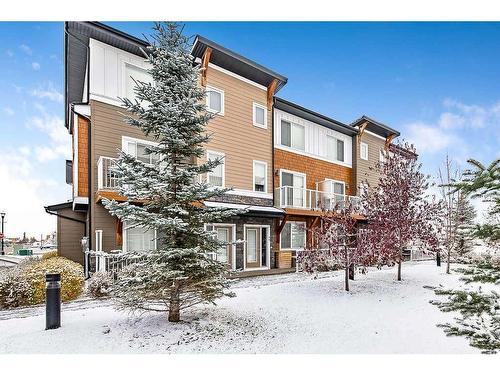 46-111 Rainbow Falls Gate, Chestermere, AB - Outdoor