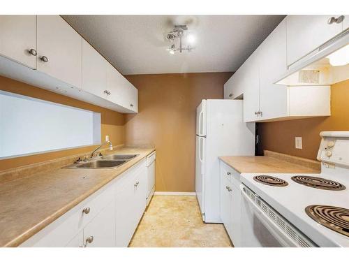 1308-6224 17 Avenue Se, Calgary, AB - Indoor Photo Showing Kitchen With Double Sink