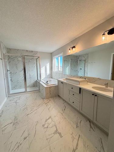 1607 Baywater Street Sw, Airdrie, AB - Indoor Photo Showing Bathroom