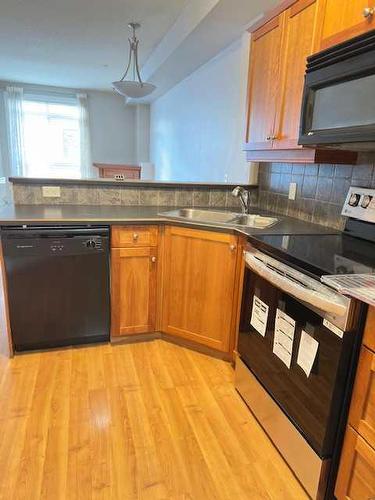 206-323 18 Avenue Sw, Calgary, AB - Indoor Photo Showing Kitchen With Double Sink