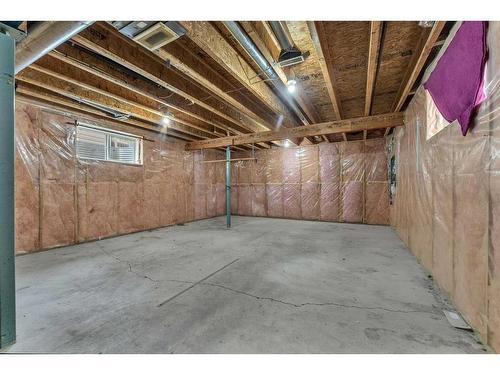 20 Taralake Lane Ne, Calgary, AB - Indoor Photo Showing Basement