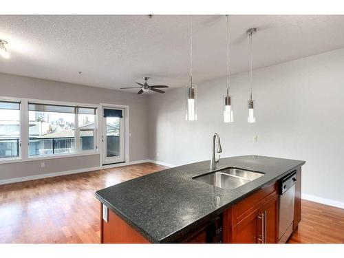 204-1828 14 Street Sw, Calgary, AB - Indoor Photo Showing Kitchen With Double Sink