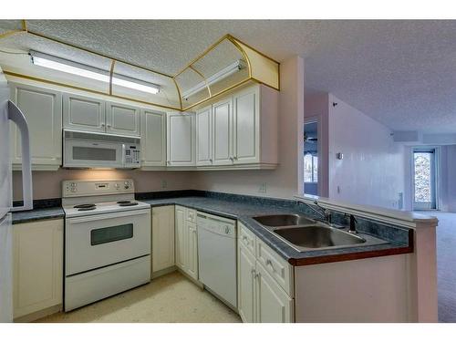 3338-1818 Simcoe Boulevard Sw, Calgary, AB - Indoor Photo Showing Kitchen With Double Sink