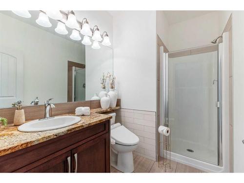 160 Cambridge Glen Drive, Strathmore, AB - Indoor Photo Showing Bathroom