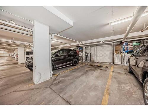 5102-302 Skyview Ranch Drive Ne, Calgary, AB - Indoor Photo Showing Garage